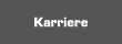 Karriere